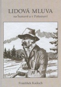 Knihu nejlépe přibližuje sám autor: ,,...Předkládám našemu čtenáři malý slovník lidové mluvy na Šumavě a v Pošumaví. Mnoho lidových slov bylo převzato z němčiny a často zkomoleno. Jsou svým výrazem zcela odlišné od češtiny, ale i tak mají svůj půvab.