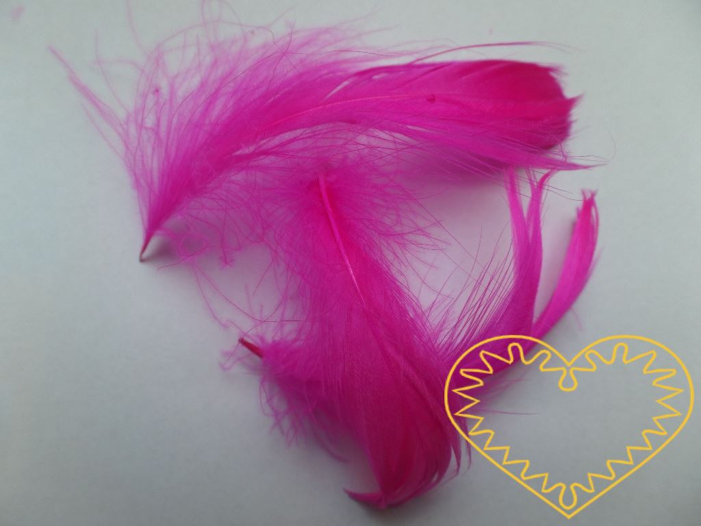 Peříčka sytě růžová - balení 15 g (cca 250 kusů). Peříčka mají široké uplatnění jak při aranžování a výrobě dekorací, tak také např. při tvoření figurek ptáčků, andělíčků apod.