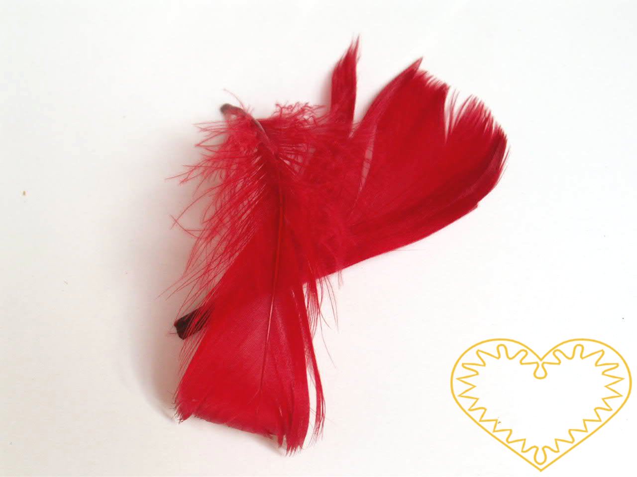 Peříčka červená - balení 15 g (cca 250 kusů). Peříčka mají široké uplatnění jak při aranžování a výrobě dekorací, tak také např. při tvoření figurek ptáčků, andělíčků apod.