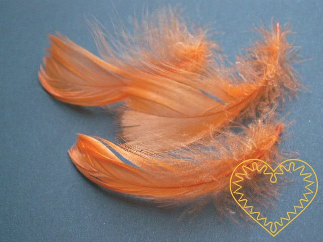 Peříčka oranžová - balení 15 g (cca 250 kusů). Peříčka mají široké uplatnění jak při aranžování a výrobě dekorací, tak také např. při tvoření figurek ptáčků, andělíčků apod.
