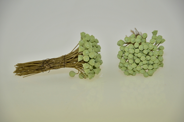Zelené jednostranné květinové pestíky - 36 ks. Pestíky mají tvar trychtýřku. Vždy dva trychtýřky jsou spojeny slabým zeleným provázkem. Vhodná pomůcka pro výrobu květinových dekorací z plsti, látky i papíru.
